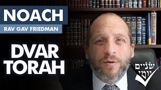 Shnayim Yomi - Noach - D'var Torah 5785