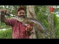 plan b യിൽ അടിച്ച സാധനം കണ്ട് ഞെട്ടി keralafishhunters