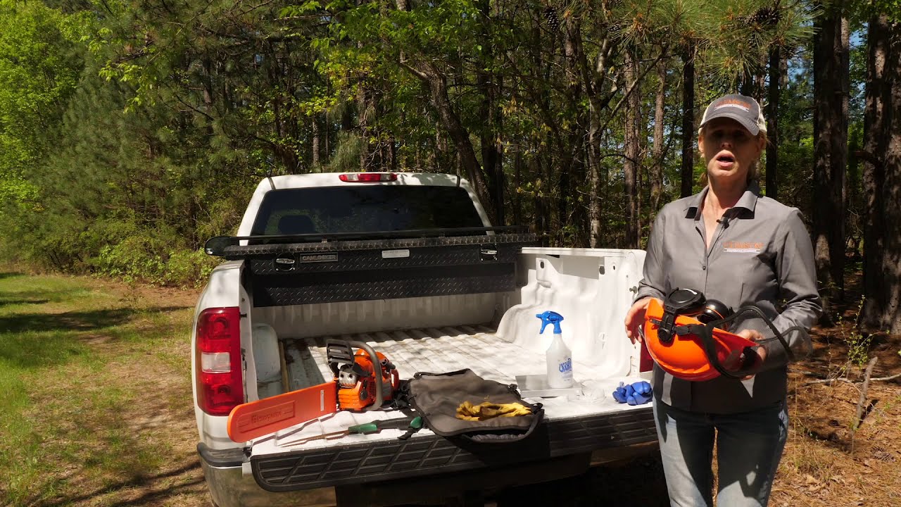 When And How To Use A Cut Stump Herbicide Treatment - YouTube