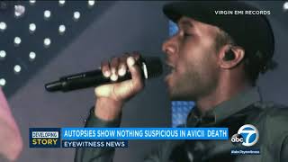 Avicii's autopsies reportedly show nothing suspicious in death I ABC7