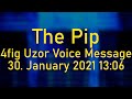 [The Pip] 4 digit Uzor Voice Message; 30. January 2021, 13:06 UTC