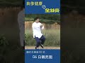 傅清泉 85式太極拳 06 白鶴亮翅