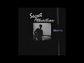 Secret Attraction - Mustang