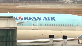 Дочь главы Korean Air арестовали по «делу об орешках» (новости)