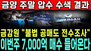 금양 주가전망 🔴단독속보 🔴 금감원 압수수색 충격적 내용! \