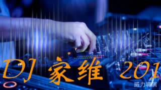 精選DJ 家維串燒《越南特製曲》