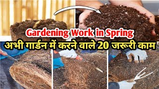 फरवरी मार्च में गार्डन में किये जाने वाले काम | Gardening Work In February-March