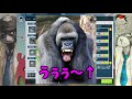 スチール大好き！ペーパーマン【日付変更戦 裏】その２