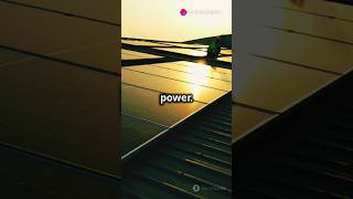 Solar Panel in Night 🤯‼️#shorts #facts #information #inventions #new #alphamale