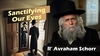 Sanctifying Our Eyes | Rabbi Avraham Schorr