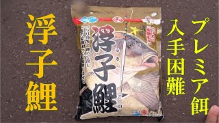 浮子鯉　ビンテージ鯉釣り餌　平成レトロ