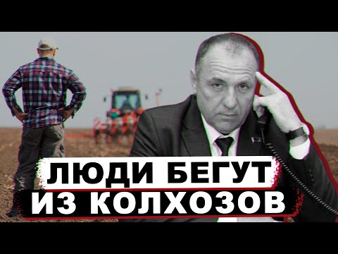 Сельское хозяйство Беларуси. Какие зарплаты в аграрном секторе?  Смотрим шире 21