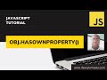 034-OBJ.HASOWNPROPERTY()