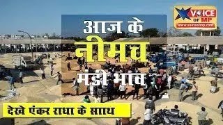 #NIMACH_MANDI: एक क्लिक मे देखे कृषि उपज मंडी नीमच के भाव,जाने किस धान मे आया उछाल और किसके गिरे दाम