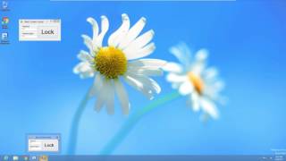 How to make basic screen locker in Visual Basic 2010 Express