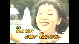 松山恵子 - 平和への祈り 十四妹 cover