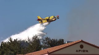 Για τέταρτη μέρα καίγεται το Δάσος της Δαδιάς - Προληπτική εκκένωση του οικισμού Βρίσα στη Λέσβο