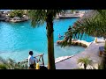 dolphin flipping at dolphinaris in cozumel mexico.