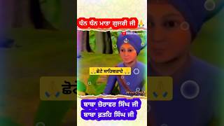 ਧੰਨ ਮਾਤਾ ਗੁਜਰੀ ਜੀ 🙏 Chote sahibzaade l #chaarsahibzaade #chotesahibzaade #matagujriji #viralshorts