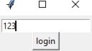 How to make a password entry in python using tkinter