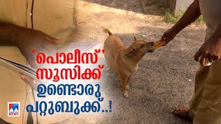 കടയിൽ സ്വന്തമായി പറ്റുബുക്ക്; അരൂർ സ്റ്റേഷനിലെ സൂസി; കാക്കി തോറ്റ സ്നേഹം | Dog | Police ​| Soosy