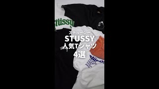 STUSSY人気Tシャツ4選