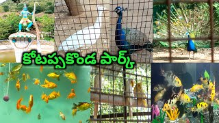 Kotappakonda Zoo Park | Kotappakonda Childrens Park | Zoo Park in Forest |Birds park at Kotappakonda