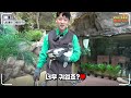 sub the youngest zookeeper s day at everland taking care of tigers🐯│vlog│everland zookeeper vlog