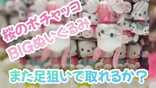 【クレーンゲーム】ポチャッコ大好きな妹のために　桜のポチャッコBIGぬいぐるみ　#20