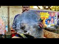 KASIMEDU 🔥 SPEED SELVAM | HUGE COLOURFUL SPADE FISH CUTTING VIDEO | 4K VIDEO | KM FISH CUTTING