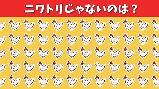 違い探しde脳トレクイズ＜カレー編＞1つだけ違う文字・イラストは？【仲間はずれ探し】#102