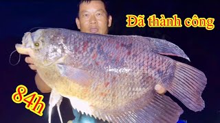 84H Sinh Tồn Cùng Lãng Tử Săn Cá Lớn Sông Đồng Nai / Big Fishing In The Rainforest