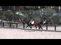 Dressage Training Tip- Honest Bend