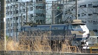 2021年4月10日15時過ぎの新鶴見信号場の様子（貨物・機関車観察）