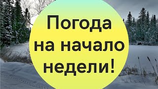 Солнце на севере и снег на юге: синоптики уточнили прогноз погоды на начало недели