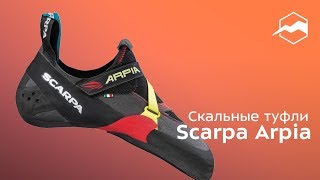 Скальные туфли Scarpa Arpia. Обзор