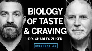 Dr. Charles Zuker: The Biology of Taste Perception & Sugar Craving | Huberman Lab Podcast #81