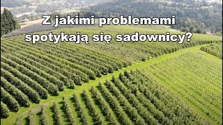 Z jakimi problemami spotykają się #sadownicy z południa / Sądeckie sady