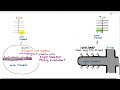 15-17 Detailed Structure of Actin and Myosin Filaments (Cambridge AS A Level Biology, 9700)