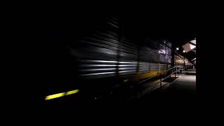 11-5-24! Railfanning Riverside & Perris Ft. Monster Stacks, UP 1060, Metrolink, Amtrak & NS Power