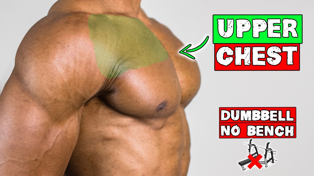Top 10 Upper Chest Exercises With Dumbbells Infoupdate Org