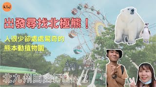 [出國vlog] 北九州Day 2 這裡有台灣看不到的北極熊 熊本市動植物園 人超少但處處是驚奇｜到處都是熊本熊的熊本 下集