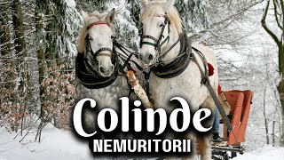 Colinde de Craciun 🎄❤️ NEMURITORII 🎅🏻 Colaj 2023 🌟 Cele Mai Frumoase Melodii