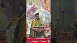 ഓശാന ഞായറാഴ്ച | 2023  | Palm Sunday | Rev. Fr. Mathai Zachariah |