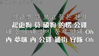 『韓歌詞+空耳教學』EXO – Going Crazy (내가 미쳐)