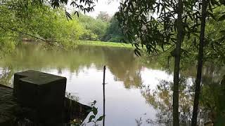 Joypur, Amta ,Howrah......Amazing View Of Pond Side In Village.