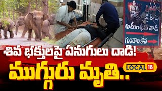 Elephant Attack in Seshachalam Forest | Annamayya District | భక్తులను తొక్కిచంపిన ఏనుగులు | #local18