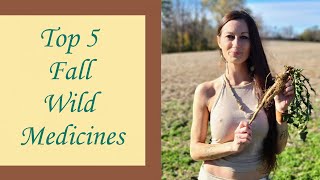 TOP 5 FALL MEDICINES, FORAGING, HOMESTEADING