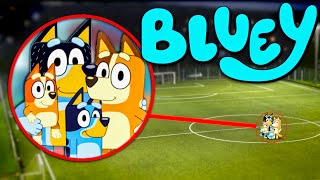 Drone Catches BLUEYS FAMILY IN REAL LIFE!! *Bluey, Bingo, Bandit and Chilli*