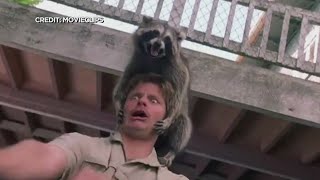 Steve Zahn Wins Lifetime Achievement Award At TCFF